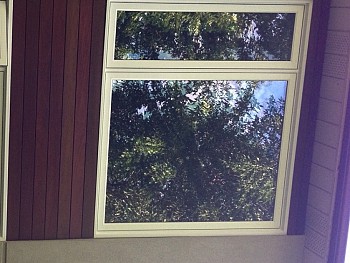Forhomes custom made to measure vinyl windows in Caledon